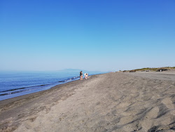 Casalaccio Beach'in fotoğrafı imkanlar alanı