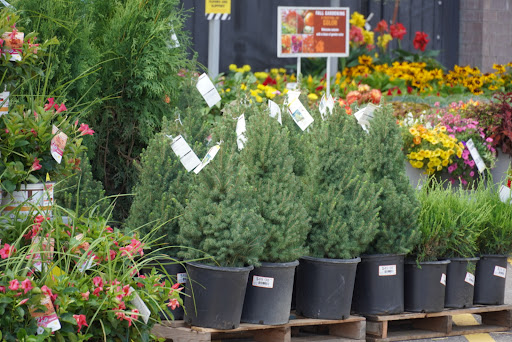 Home Improvement Store «The Home Depot», reviews and photos, 5800 Cedar Lake Rd, St Louis Park, MN 55416, USA