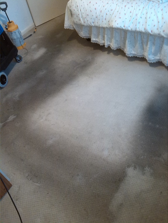 Comments and reviews of AB Homekleen Carpet Cleaning Newcastle