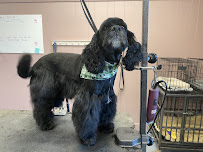 Groomingdales - Photo 9 - Car repair in Billerica, MA, Lowell