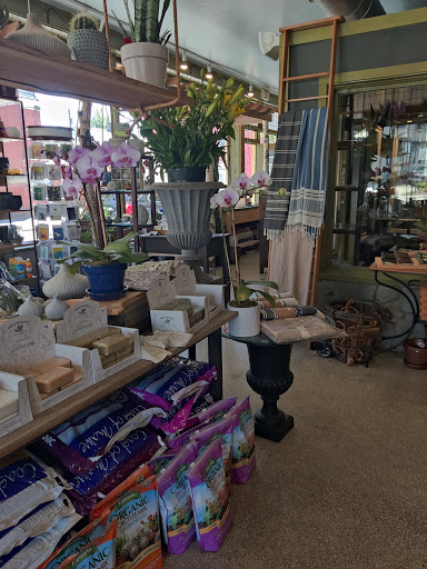 Florist «Jephry Flower Studio», reviews and photos, 432 Broadway, Providence, RI 02909, USA