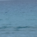 Photo n°10 de l'avis de Frau.e fait le 19/08/2022 à 14:03 sur le  TUI BLUE Tropea à Riaci