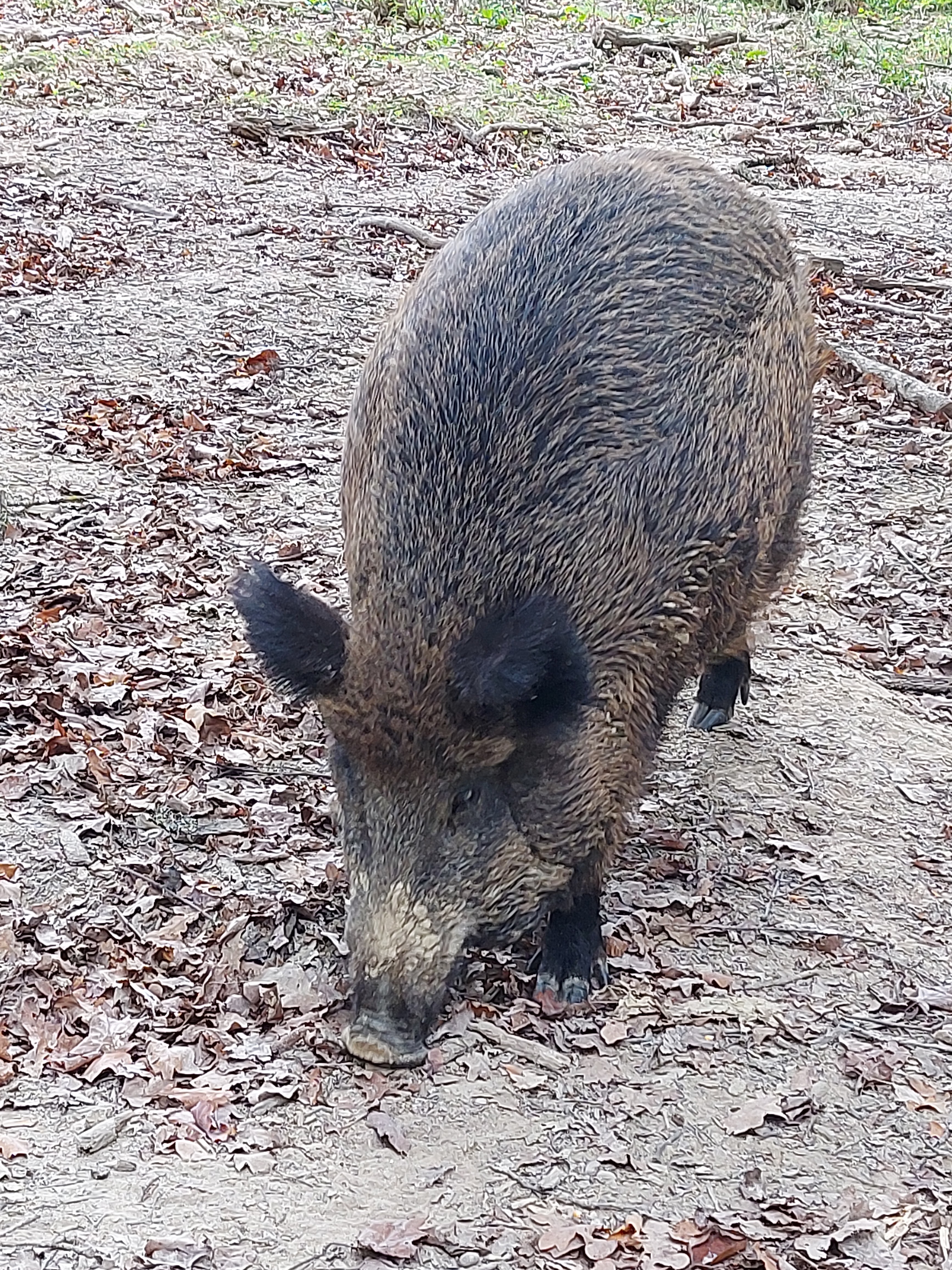 Photo n° 5 de l'avis de Cecile.e fait le 30/10/2022 à 12:57