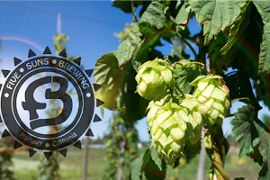 Five Suns Brewing image