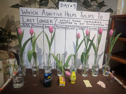 Grocery Store «Super Foodtown of Ocean», reviews and photos, 1560 NJ-35, Ocean Township, NJ 07712, USA