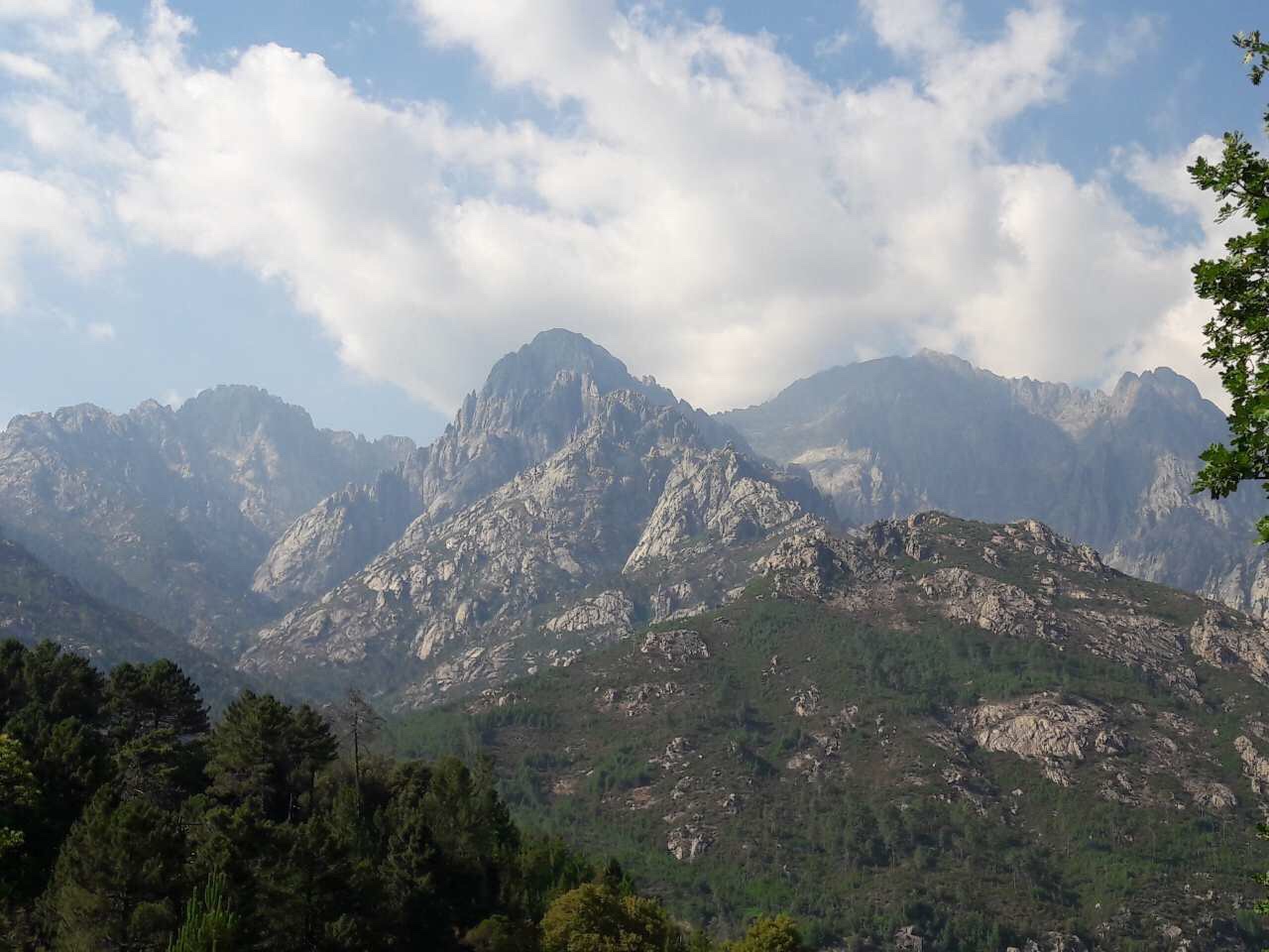 Photo n° 2 de l'avis de T... fait le 03/07/2017 à 11:30