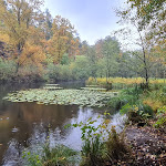 Photo n°5 de l'avis de G.p fait le 25/10/2020 à 17:25 sur le  Hotel Kupper à Eppenbrunn