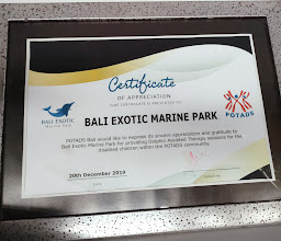 Bali Wake Park photo