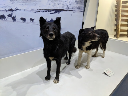 Art Museum «Carnegie Museum of Art», reviews and photos, 4400 Forbes Ave, Pittsburgh, PA 15213, USA