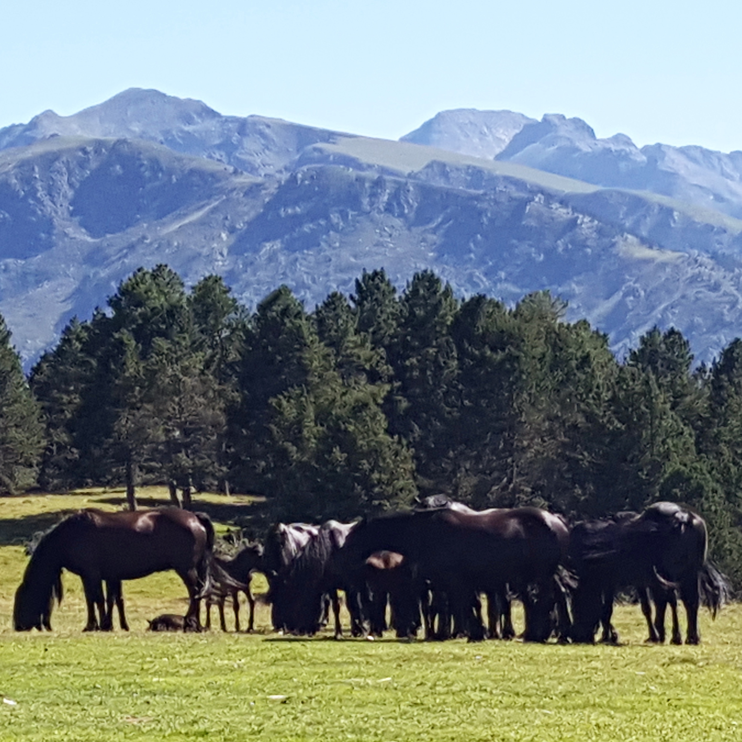 Photo n° 1 de l'avis de Ceciloune. fait le 20/07/2017 à 09:57