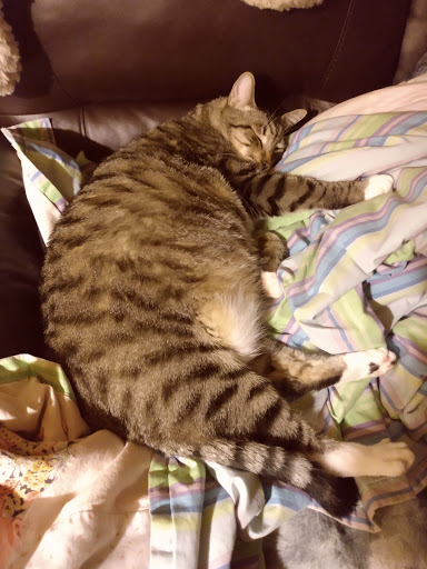 Copy Shop «Copy Cats», reviews and photos, 1567 Edgewater St NW, Salem, OR 97304, USA