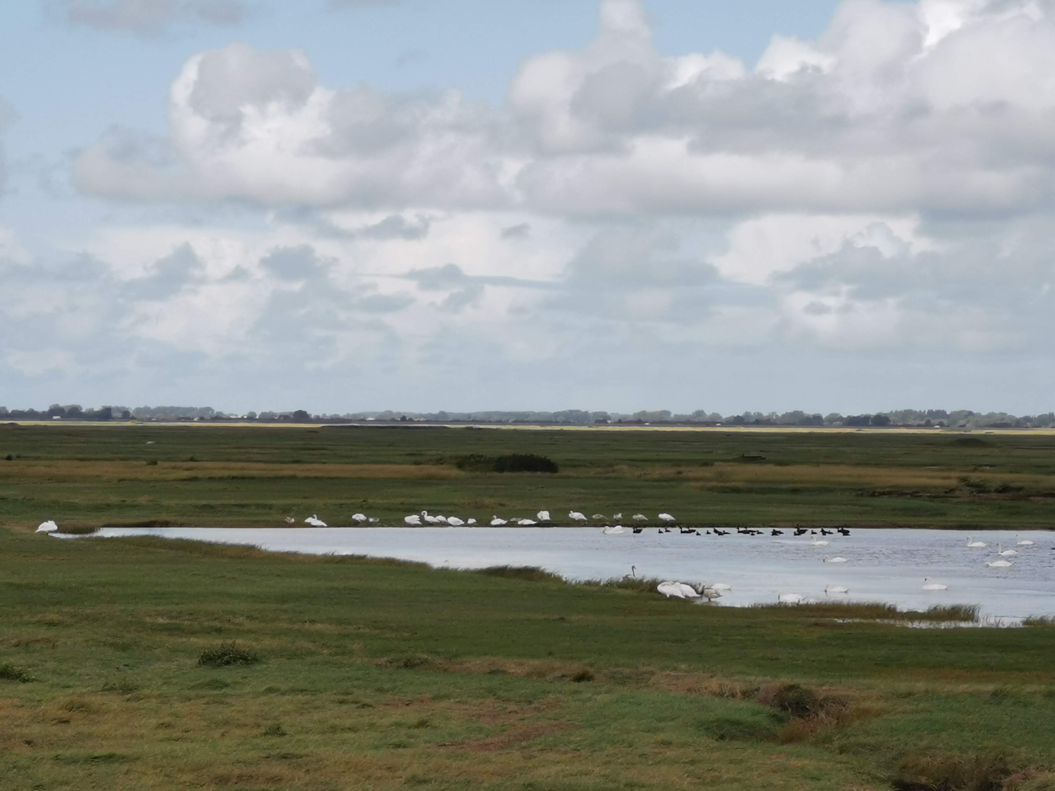 Photo n° 2 de l'avis de Marion.a fait le 31/08/2020 à 13:07