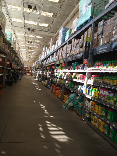 Home Improvement Store «The Home Depot», reviews and photos, 1451 W Foothill Blvd, Rialto, CA 92376, USA