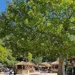 Photo n°3 de l'avis de Giovanni.. fait le 02/08/2022 à 11:10 sur le  Lido di Levico Buena Onda à Levico Terme