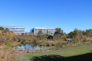 Alewife Brook Reservation