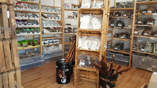 Hundehütte Troisdorf unter Troisdorf, 