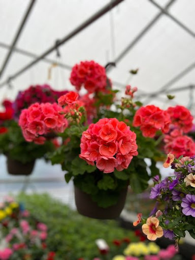 Florist «TG Designs», reviews and photos, 19231 Longmeadow Rd, Hagerstown, MD 21742, USA