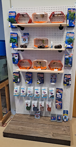 Under The Sea Aquatics