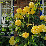 Photo n°3 de l'avis de Finn.k fait le 19/06/2023 à 18:35 sur le  Alter Deutscher Grenzkrug Rosenkranz Inh. Silvia Brodersen à Aventoft