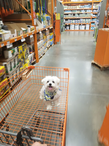 Home Improvement Store «The Home Depot», reviews and photos, 37 Ellisville Towne Centre Dr, Ellisville, MO 63011, USA