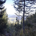 Photo n°5 de l'avis de Knut.c fait le 22/09/2022 à 17:56 sur le  Schärtenalm à Ramsau bei Berchtesgaden