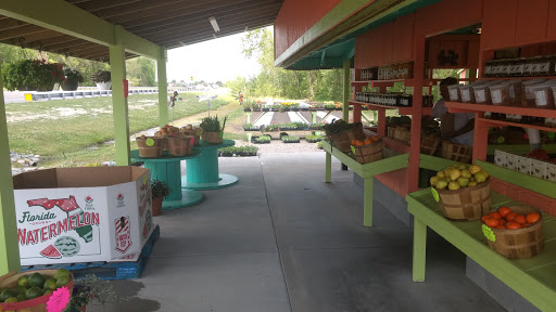 Produce Market «Poor Boys Produce & Vegetable», reviews and photos, 263 US-158, Camden, NC 27921, USA