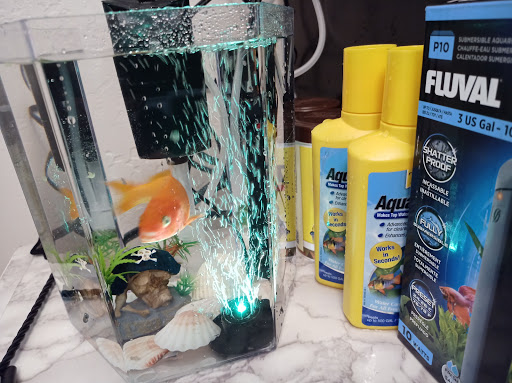 Pet Supply Store «Pet Club San Mateo», reviews and photos, 1850 S Norfolk St, San Mateo, CA 94403, USA