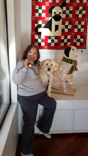 Pet Store «All Star Pet Grooming», reviews and photos, 1701 Calle De Mercado, Las Cruces, NM 88005, USA