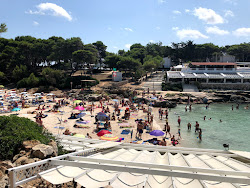 Photo de Playa Cala Blanca zone des équipements