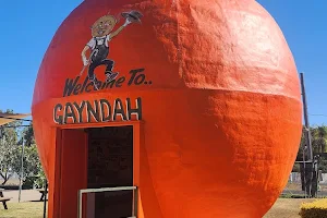 Gayndah's Big Orange image