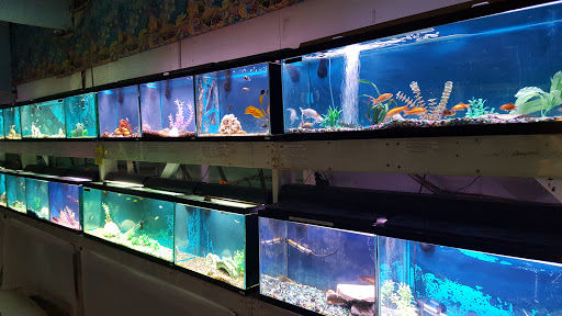 Pet Store «7 Seas Pet Care Center», reviews and photos, 13311 S Brandon Ave, Chicago, IL 60633, USA