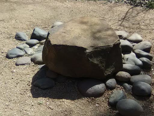 Park «River Legacy Parks», reviews and photos, 701 NE Green Oaks Blvd, Arlington, TX 76006, USA