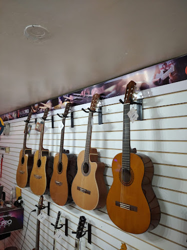 Tienda de Instrumentos Musicales Guayaquil - Pro Market Go - Tienda de instrumentos musicales