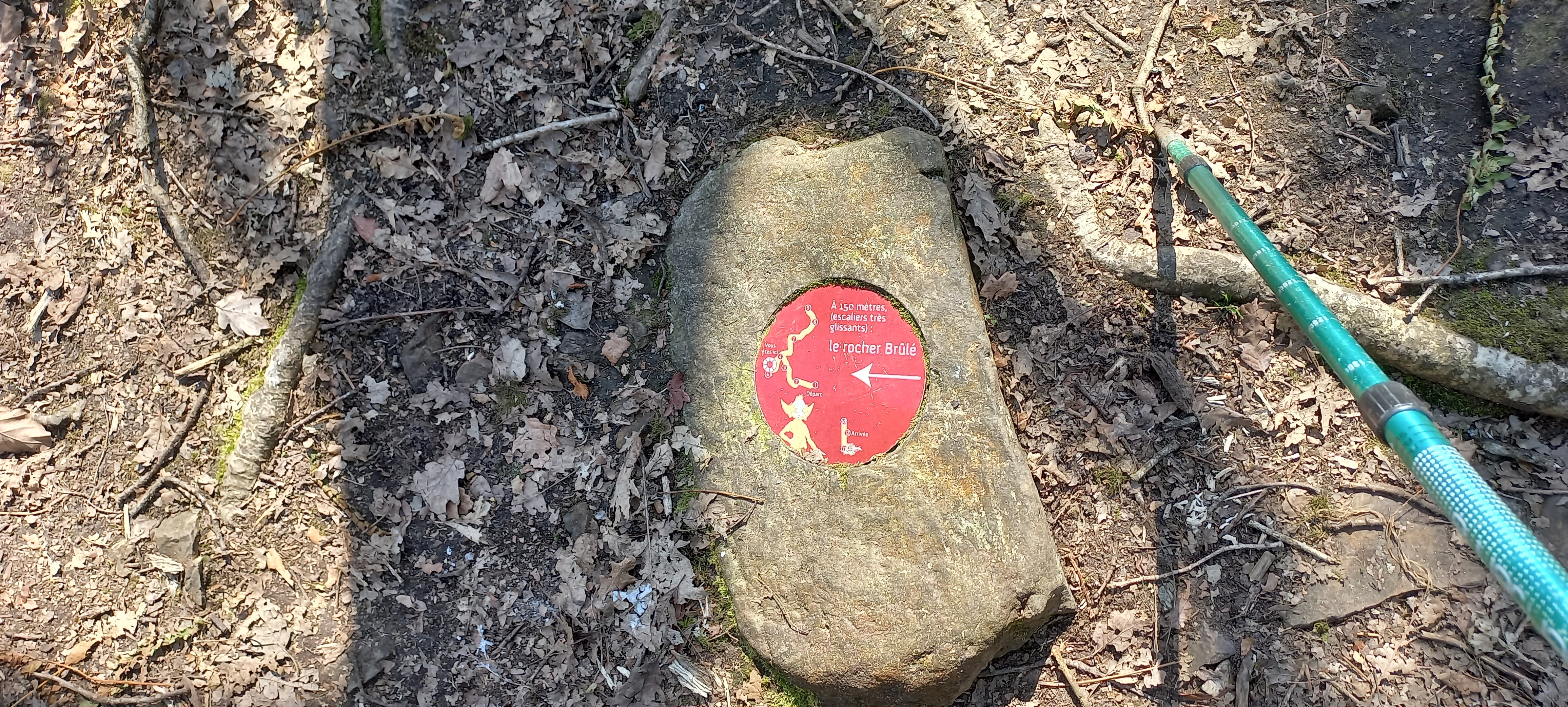 Photo n° 23 de l'avis de Françoise.o fait le 16/04/2023 à 15:18