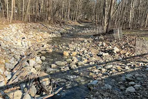 Wilson Mills Trailhead image