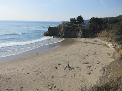 Foto von Cooks Beach wilde gegend