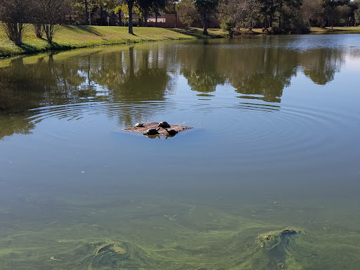 Golf Club «The Golf Club at Cinco Ranch», reviews and photos, 23030 Cinco Ranch Blvd, Katy, TX 77450, USA