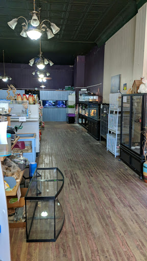 Pet Store «Plattsmouth Pets», reviews and photos, 430 Main St, Plattsmouth, NE 68048, USA