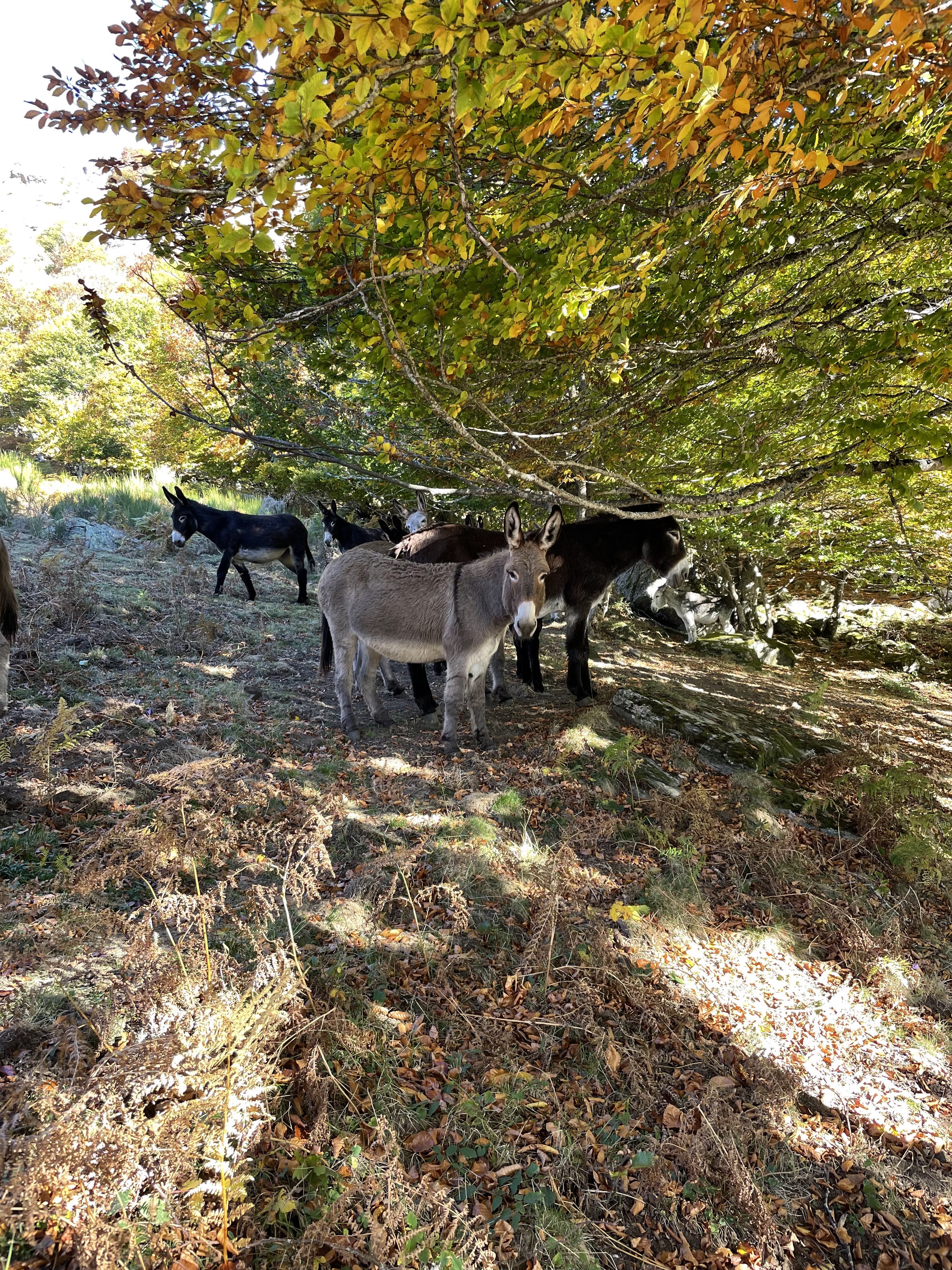 Photo n° 5 de l'avis de Julien. fait le 25/01/2022 à 07:37