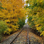 Photo n°1 de l'avis de na.e fait le 01/11/2023 à 11:56 sur le  Draisinenstation Karow à Karow