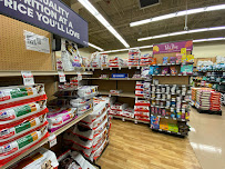 Petco - Photo 4 - Car repair in Kapolei, HI, Honolulu