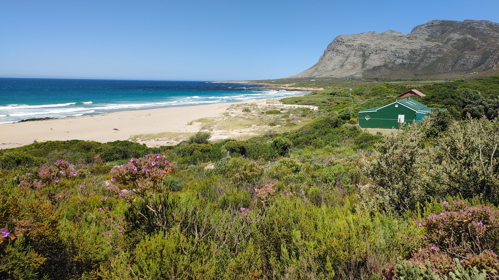 Φωτογραφία του Palmiet Lagoon άγρια περιοχή