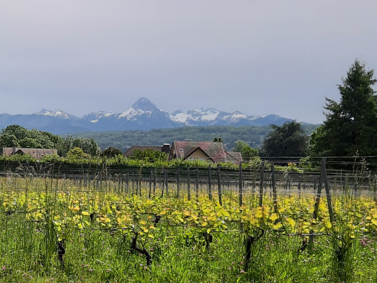 Photo n° 3 de l'avis de La.A fait le 24/05/2021 à 18:05