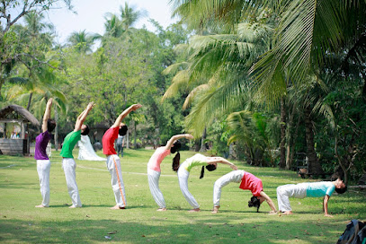 Isla Yoga - Trung tâm đào tạo Huấn luyện viên Yoga chuyên nghiệp
