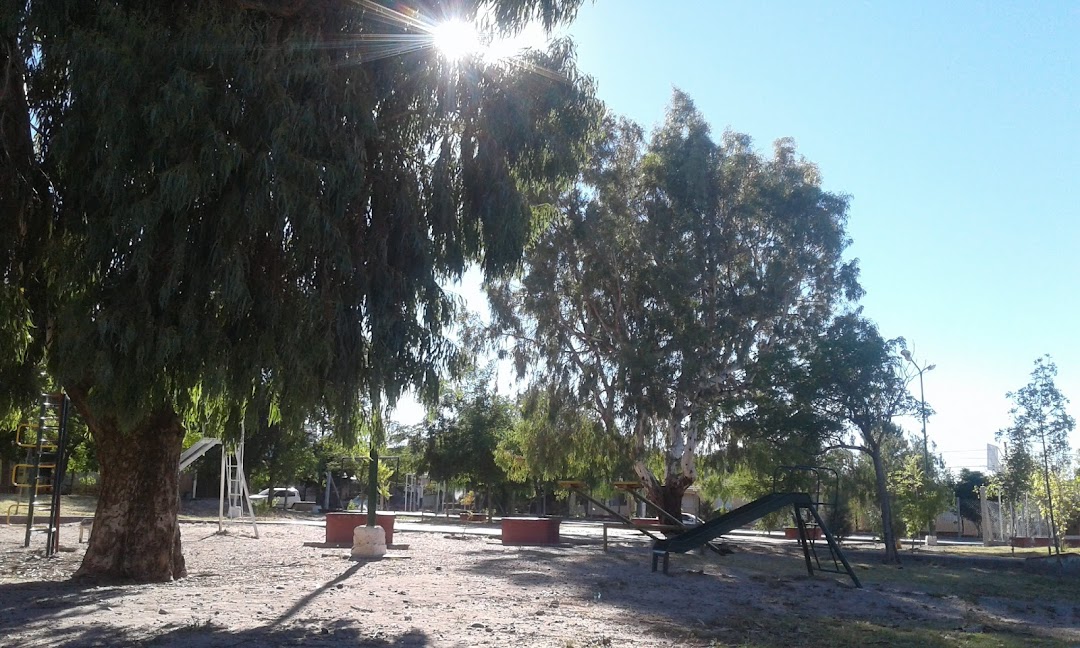 Plaza Pehuenia