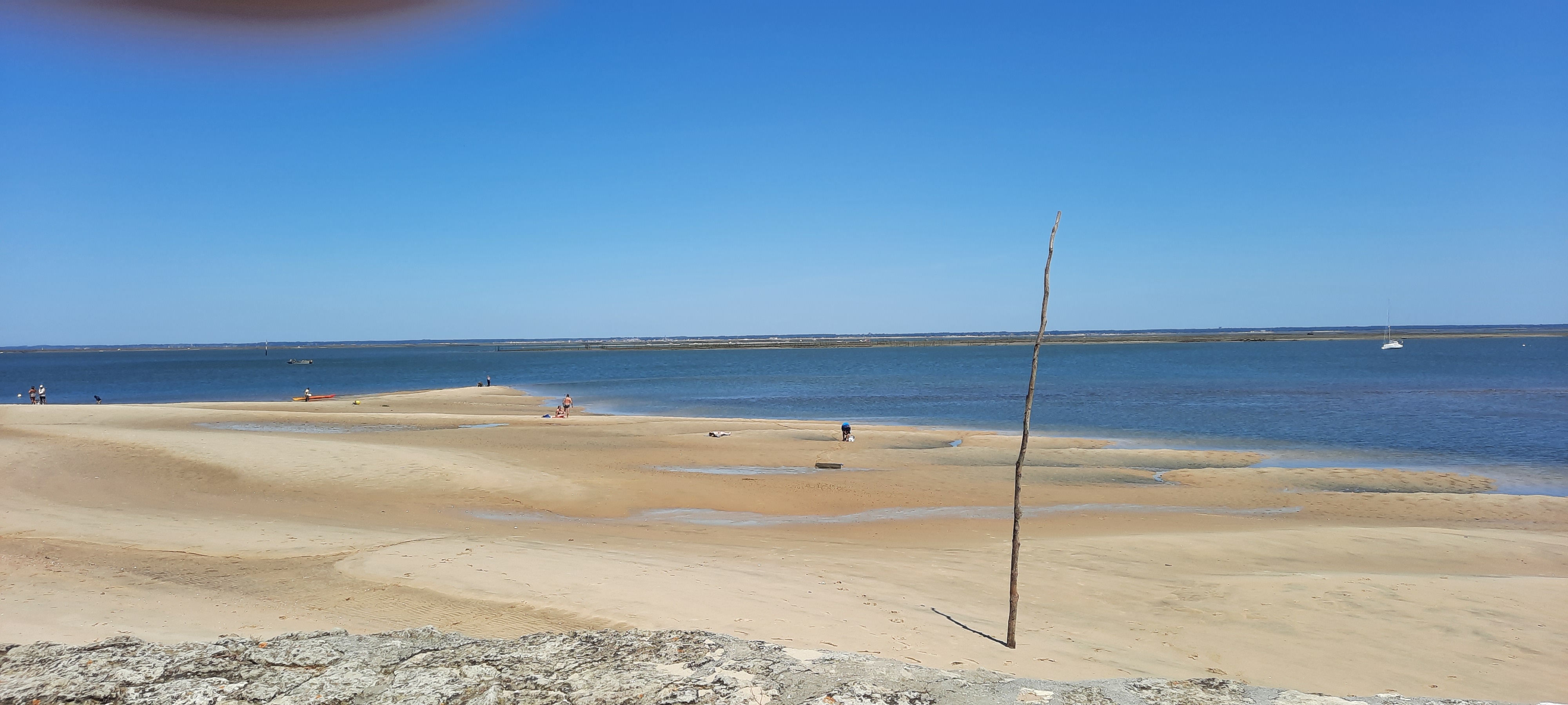 Photo n° 6 de l'avis de vasseur.a fait le 30/05/2022 à 13:07