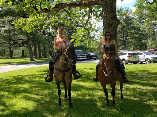 Nature Preserve «Swallow Cliff Woods South», reviews and photos, Illinois Rt 83 & US Rt 45, Palos Park, IL 60464, USA