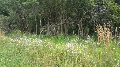 Nature Preserve «Pulaski Woods East», reviews and photos, 9600 Wolf Rd, Willow Springs, IL 60480, USA