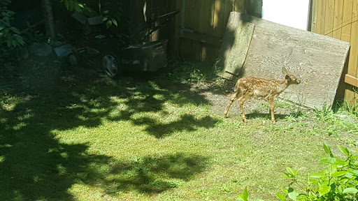Public Golf Course «Chambers Bay», reviews and photos, 6320 Grandview Dr W, University Place, WA 98467, USA