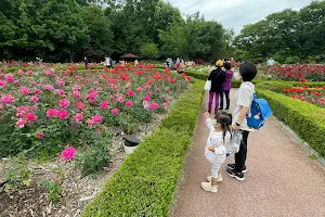 Incheon Grand Park - Rose Garden image